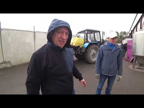 Видео: VLOG с пивоварни день 43