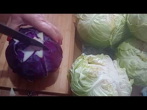 Видео: Слагаме киселото зеле🇧🇬💯👌❤️