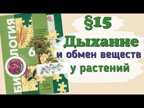 Видео: Краткий пересказ §15 Дыхание и обмен веществ у растений. Биология 6 класс Пономарёва