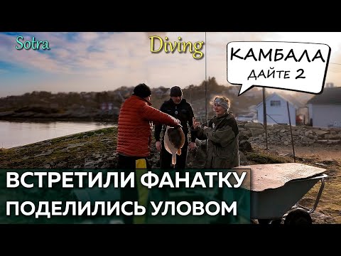 Видео: Дайвинг в Норвегии Камбала Камшелы (ост. Сутра)