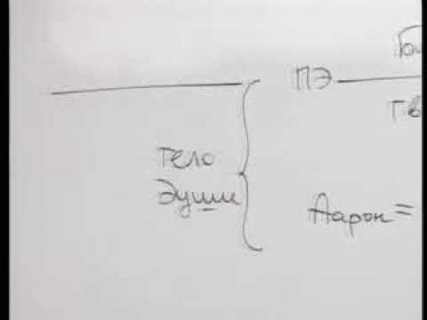 Видео: 2003 11 02 Статья 86. «И построили нищие города».