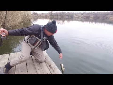 Видео: Зимний спиннинг! НОВИНКА от Фанатик