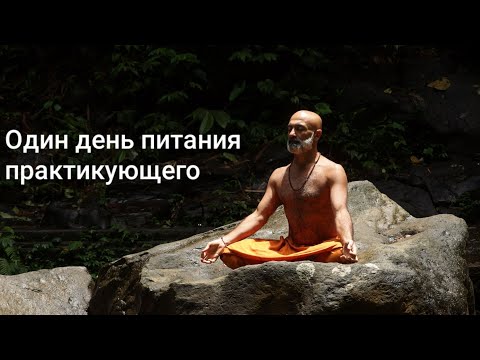 Видео: Один день питания практикующих