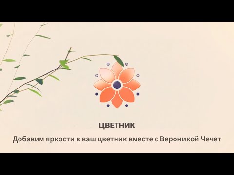 Видео: Цветник. Как правильно укрыть гортензию на зиму