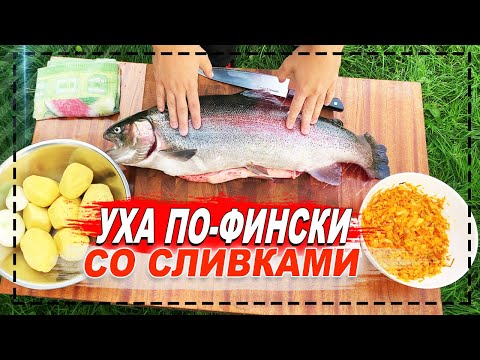 Видео: УХА ПО-ФИНСКИ СО СЛИВКАМИ! УХА В КАЗАНЕ НА КОСТРЕ!