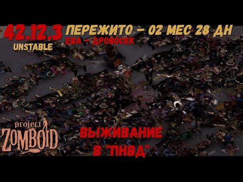 Видео: Project Zomboid I 42 билд I v. 12.3  I ПНВД I 15 стрим I 08 сезон I