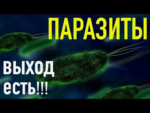 Видео: ПАРАЗИТЫ - что ОБЯЗАТЕЛЬНО нужно знать о них ???