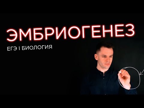 Видео: Эмбриогенез | ЕГЭ Биология | Даниил Дарвин