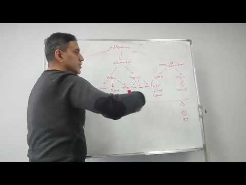 Видео: виды анемии по мазку крови . коротко , цитата