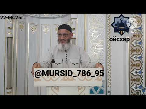Видео: ИСА ХЬАЖА ОЙСХАР! АЛЬ-МУСАННА АСХЬАБЕХ ЛАЬЦ ХАЗ ХЬЕХАМ! 22.08.2025г.