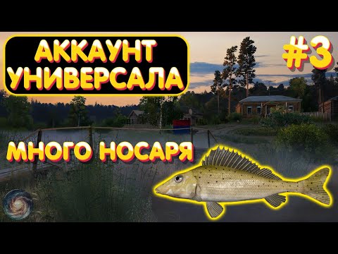 Видео: Аккаунт универсала #3 | Много НОСАРЯ | р. Вьюнок | Русская Рыбалка 4