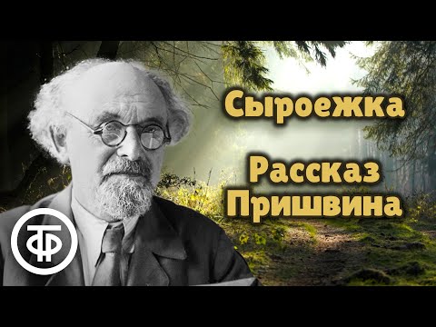 Видео: Михаил Пришвин. Сыроежка. Рассказ читает Алексей Покровский (1986)