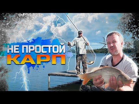 Видео: Не простой Карп!
