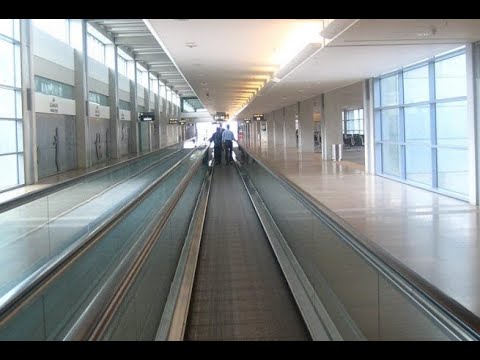 Видео: Процесс приезда в Израиль 03.2022