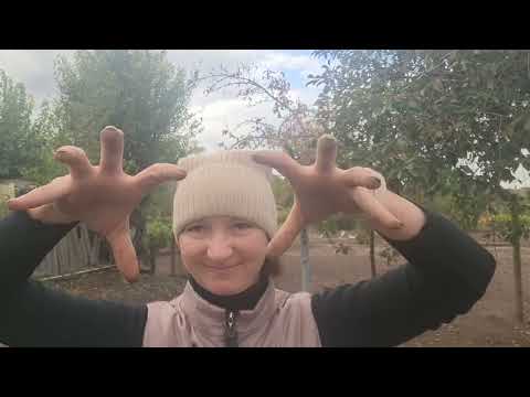Видео: НЕ ПРОШЛО И ПОЛ ГОДА 🤣/ КАК И ОБЕЩАЛА 