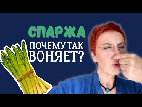 Видео: Что едят немцы?