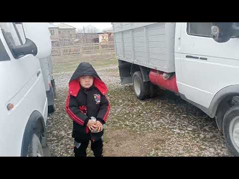 Видео: Машина базар Шымкент ГАзель 10.03.2024 жыл