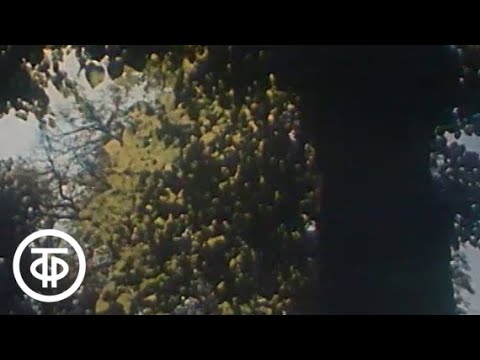 Видео: Александр Пушкин Фильм о жизни и творчестве величайшего русского поэта (1979)