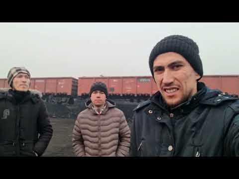 Видео: Ангрен қозоқ қирғизистон кўмирлари нархи хақида тўлиқ малумот 800сум дан 1700 гача 😳😳