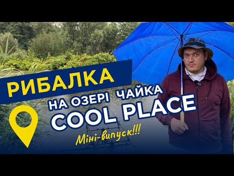 Видео: Поймали картошку фри. Рыбалка на озере ЧАЙКА, место COOL PLACE, Киевщина