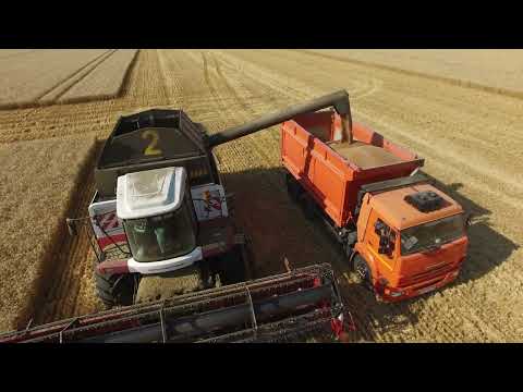 Видео: Жатва 2022   4K