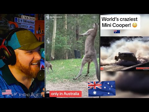 Видео: Австралийские Tik Tok, которые мне очень понравились