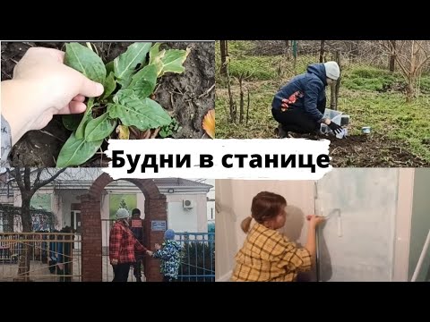 Видео: Купили дом на юге // Участок на Кубани в январе