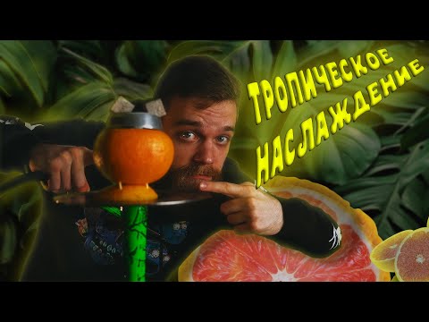 Видео: КАК ЗАБИТЬ КАЛЬЯН НА ГРЕЙПФРУТЕ? ЛУЧШИЕ СПОСОБЫ