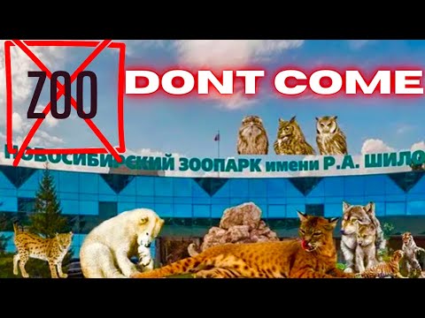 Видео: Don’t Visit Novosibirsk Zoo After Winter  | трагедия в зоопарке 🇷🇺