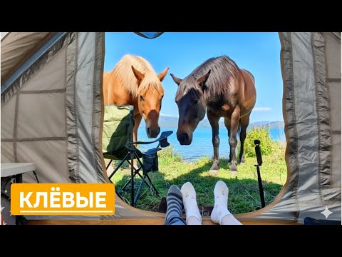Видео: МАРКАКОЛЬ, УРУНХАЙКА! Живём на краю света.