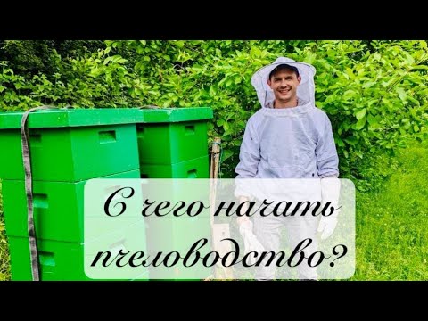 Видео: С чего начать пчеловодство