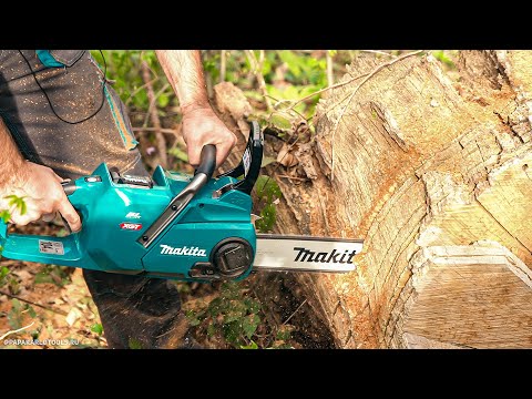 Видео: Перепилит ли огромный пень? | Цепные пилы, высоторезы MAKITA LXT и XGT