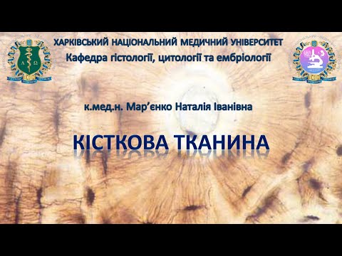 Видео: Кісткова тканина. Гістологія