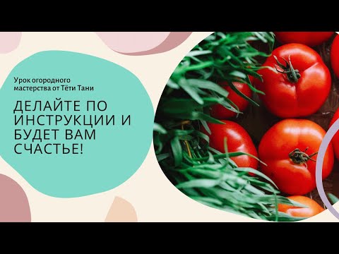 Видео: 555. Томаты. Чем кормить, почему не болеют, как лечить сейчас?