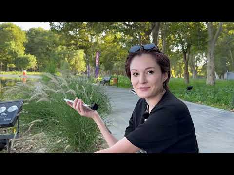 Видео: Чирчик. Город где хочется жить 😍