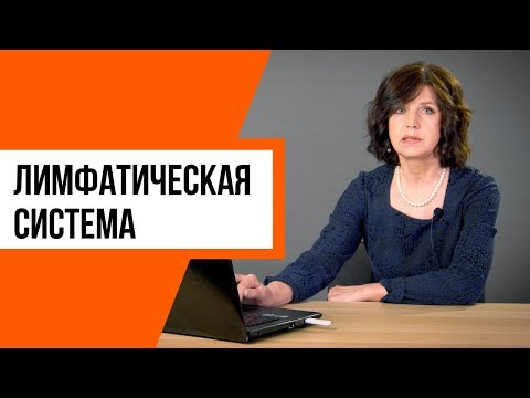Видео: Мышцы и лимфатическая система. Как это работает?