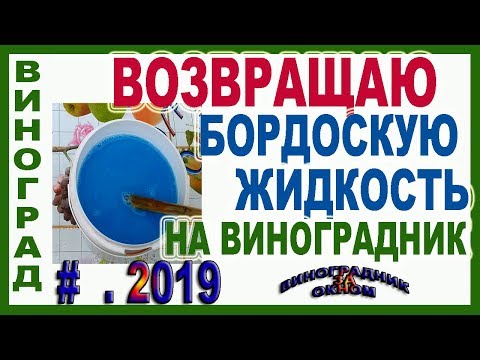 Видео: 🍇 ЗАЧЕМ я возвращаю БОРДОСКУЮ жидкость на виноградник. Как работает бордоская против милдью.