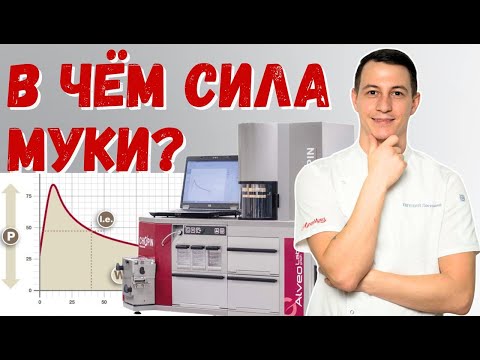 Видео: Что такое сила муки?