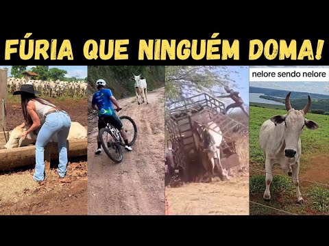 Видео: Нелор был Нелором. Почему он так зол? Происхождение неу...