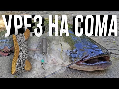 Видео: Урез Снасть для ловли Сома на Квок. Урез. Монтаж оснастки