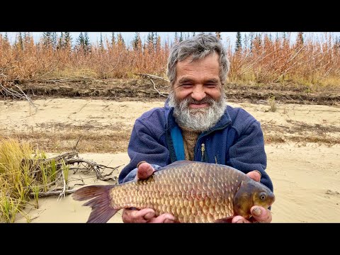 Видео: ЗАГОТОВКИ Отшельника (30 лет одиночества 99 серия)