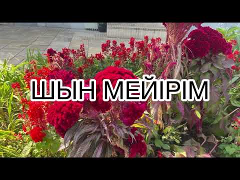 Видео: ШЫН МЕЙІРІМ