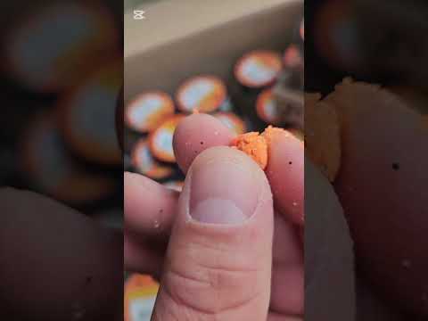 Видео: Новото  от днес 😉