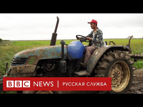 Видео: Китайцы захватывают русскую деревню? Мы поехали и узнали