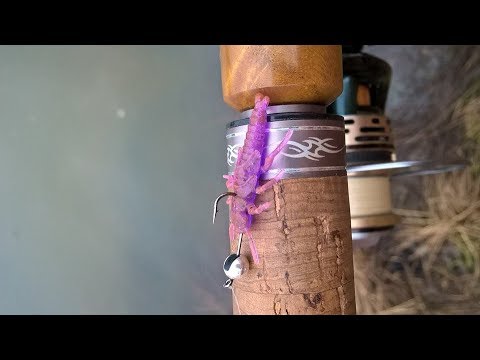 Видео: Зимний наноджиг на Обводном канале Киевской ГЭС