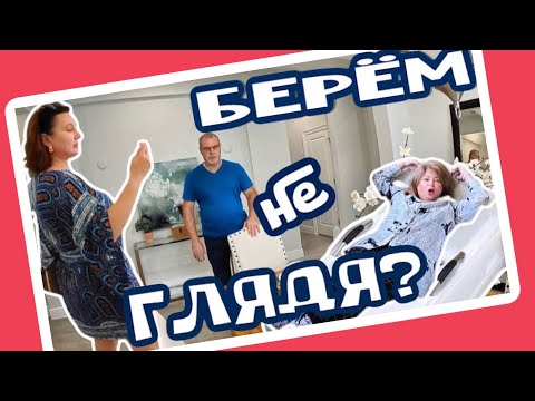 Видео: По моему им нравится....🤔  #ФлоридаНедвижимость