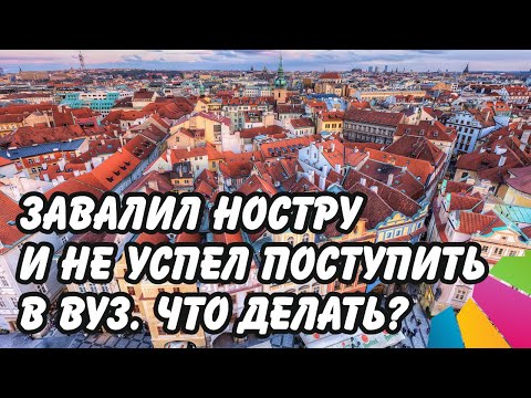 Видео: Отзыв о Gostudy. Что делать если не сдал ностру и не успел поступить в ВУЗ?