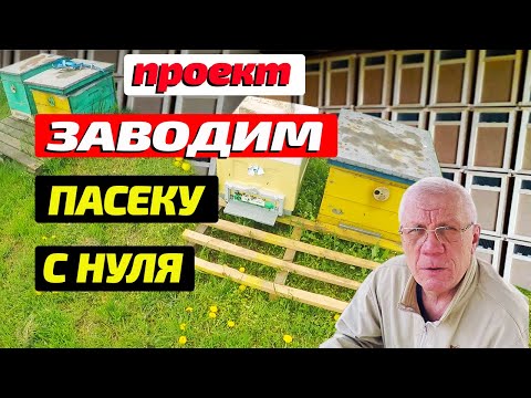 Видео: Почему пчелопакет лучше для начинающего пчеловода Как начать пасеку с нуля