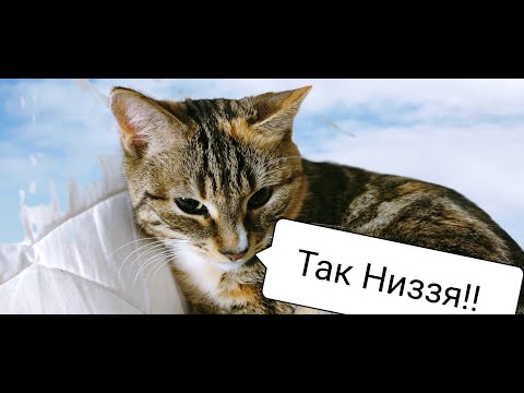 Видео: И снова воскрешаю плату, которую не добили