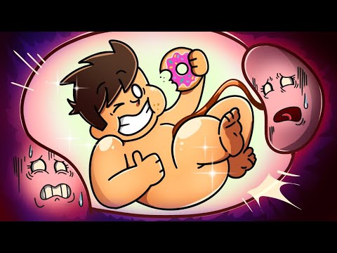 Видео: ЧТО ПРОИСХОДИТ С ОРГАНАМИ НА 8 МЕСЯЦЕ БЕРЕМЕННОСТИ?